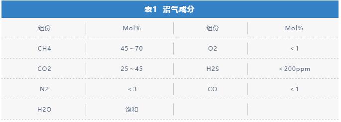 【技术分享】能源化工装备 | 喷油螺杆压缩机在沼气增压行业的应用探讨