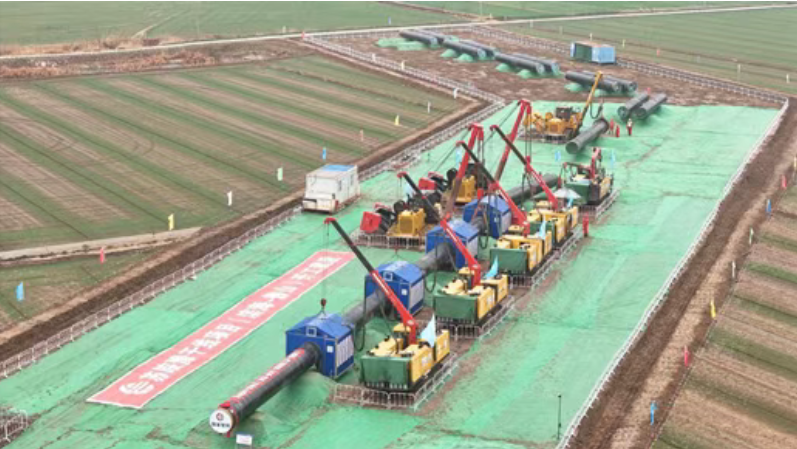 1772682463157502.png image.png